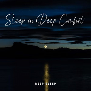 Deep Sleep: Sleep in Deep Comfort album