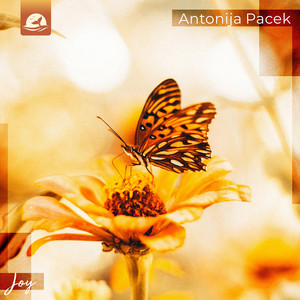 Joy by Antonija Pacek