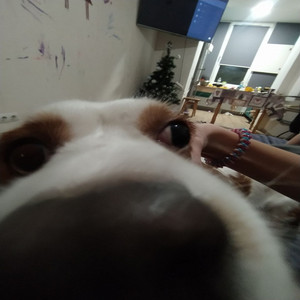 kolyaiccc - Толя 20 см