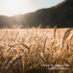 I Knew It, I Knew You - Piano Instrumental by Duncan La Barre