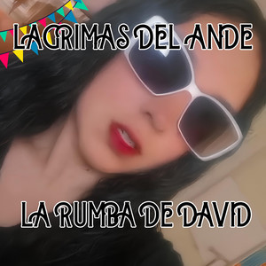 LAGRIMAS DEL ANDE by LA RUMBA DE DAVID