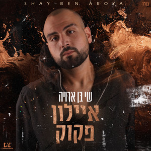 איילון פקוק