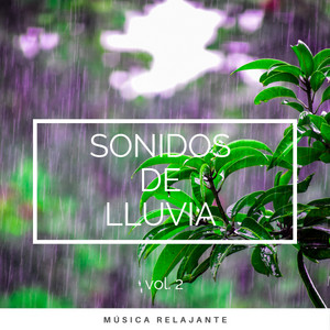 2022 Sonidos de Lluvia vol. 2 album