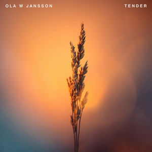 Tender by Ola W Jansson, W JAZZ TRIO