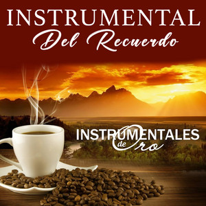 Instrumental del Recuerdo - Amar y Querer (Instrumental)