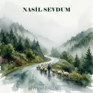 Yüksel Baltacı - NASİL SEVDUM