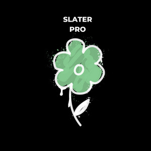 Pro - Radio Edit by Slater