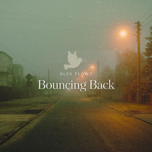 Bouncing Back