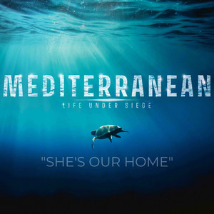 She's Our Home (Mediterranean Original Soundtrack) by Anjaa