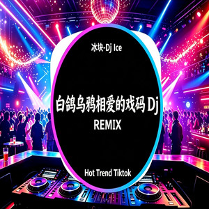 白鸽乌鸦相爱的戏码 Dj （新版本） by 冰块-Dj ice