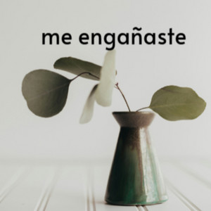 me engañaste by randy