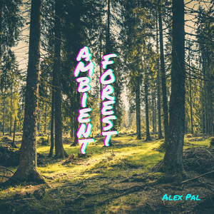 Обкладинка: Ambient Forest