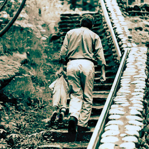 Tripped Right into Fatherhood by Greg Larson