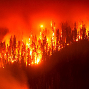 Burn It Down