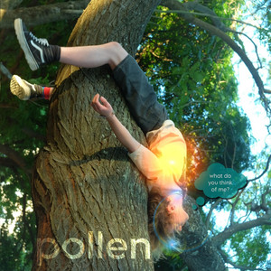 Pollen