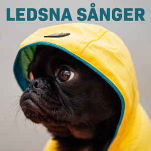 Forever by Lewis Capaldi