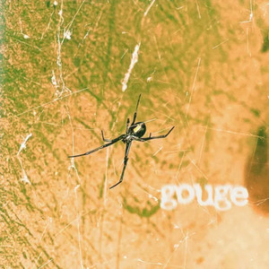 gouge by Roving