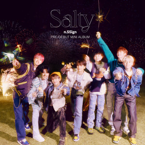 n.SSign - Salty