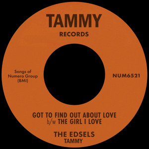 Got To Find Out About Love b/w The Girl I Love — The Edsels