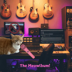 Malo Gato: Cat Covers - Creepurrr