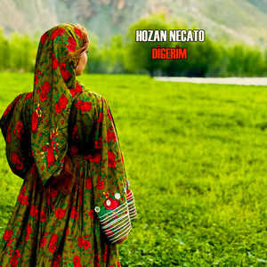 Hozan Necato - Dılberda