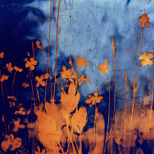 Stream Dive by Sundown Mindscape