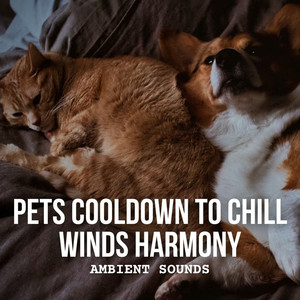 Ambient Sounds: Pets Cooldown to Chill Winds Harmony album
