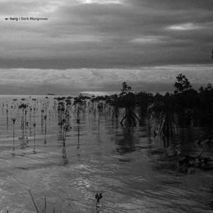 w-berg - Dark Mangroves, Pt. 4 | Listen on Spotify, Apple Music, YouTube Music & more