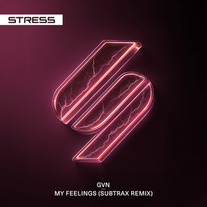 My Feelings - Subtrax Remix
