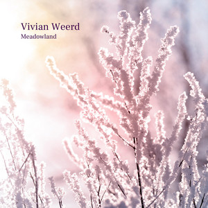 Dreamweaver by Vivian Weerd