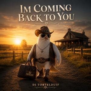 I'm Coming Back To You by DJ Tortelduif
