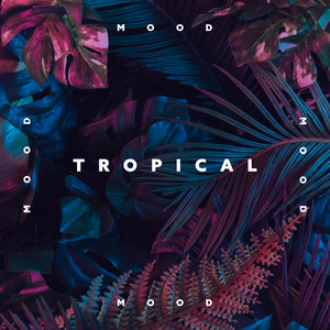 Tropical Mood: Hawaiian Music for Spa, Morning Meditation and Deep Relaxation album