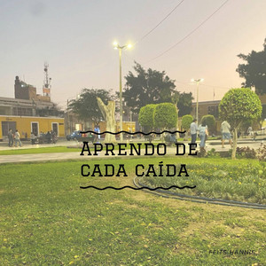 Aprende de cada caida by Patrickyesp