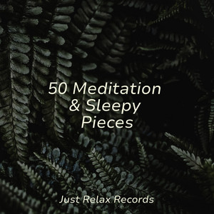 50 Meditation & Sleepy Pieces