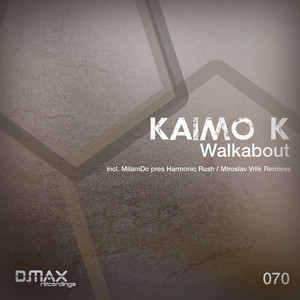 Walkabout - Miroslav Vrlik Remix by Kaimo K, Miroslav Vrlik