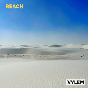 Reach by VYLEM