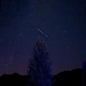 Stereonich — Щедрик