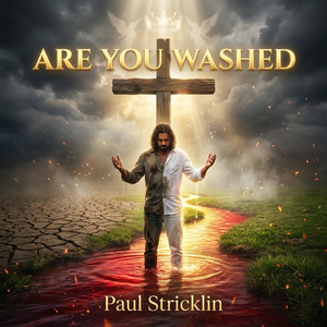 Are You Washed by Paul Stricklin