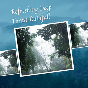 Refreshing Deep Forest Rainfall album