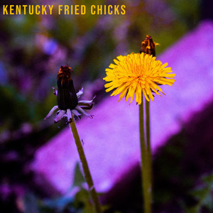 Kentucky Fried Chicks