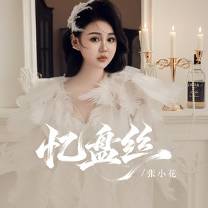 忆盘丝（蛛儿你织的到底是不是情网） - 伴奏 by 张小花