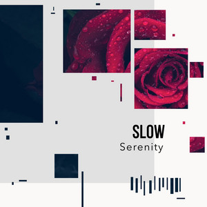 # 1 Album: Slow Serenity album