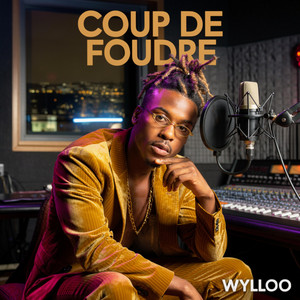 COUP DE FOUDRE by WYLLOO