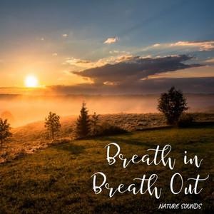 Nature Sounds: Breath in Breath Out album