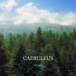 Caeruleus by Vincent Corver, Vincent