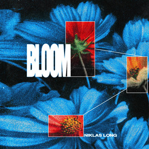 Bloom by Niklas Long