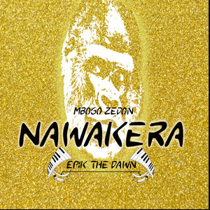MBOGO ZEDON - Nawakera