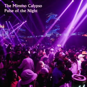 Pulse of the Night by The Mimmo Calypso