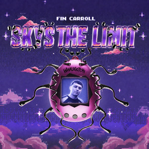 Skys The Limit by Fin Carroll
