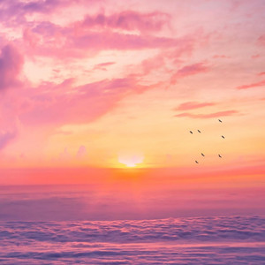 Mr.Francis XV - Let Is Go